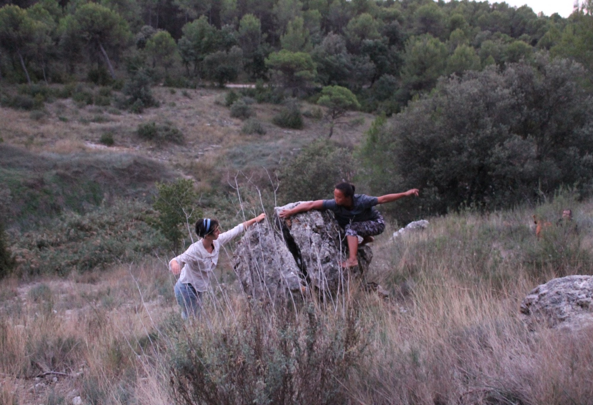 dance, nature, photography, contemporary artist, montreal, danse, field notes